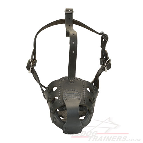 The Best Muzzle for English Bull Terrier Muzzle Size - £42.90