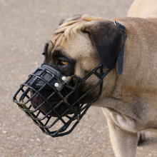 The
Best Universal Dog Muzzle