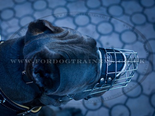 Wire Mesh Dog Muzzle for Cane Corso