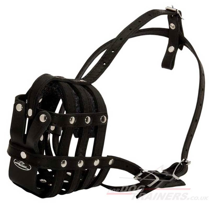 Bulldog Muzzle Padded Muzzle for Bulldog Best Quality £32.20