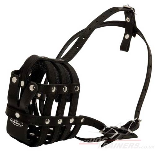 soft leather dog muzzle