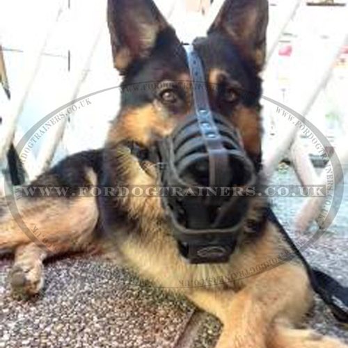 German Shepherd Muzzles for Sale UK