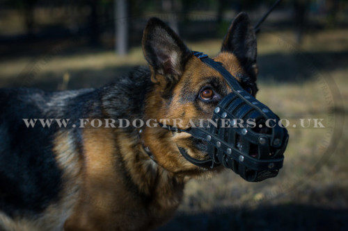 German Shepherd Muzzle UK