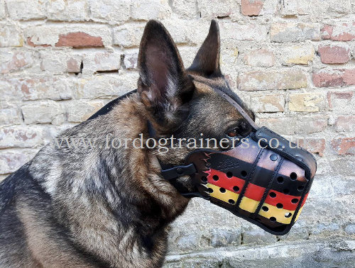 Handmade Leather Dog Muzzle for German Shepherd