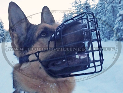 Best Dog Muzzle for German Shepherd