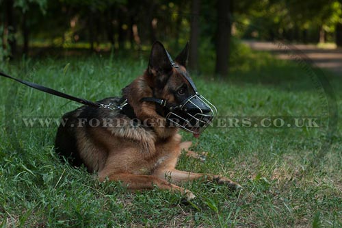 German Shepherd Muzzle UK