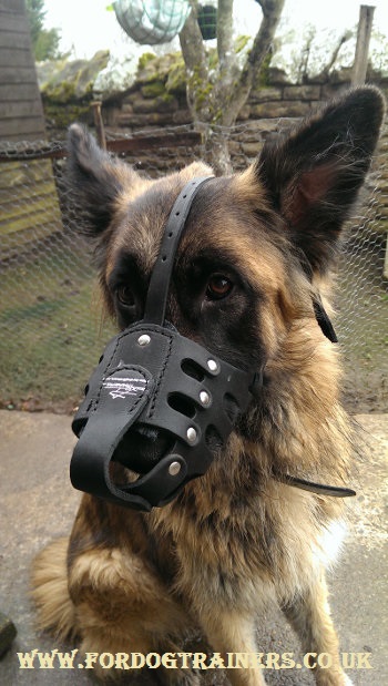 Long Snout Dog Muzzle for German Shepherd