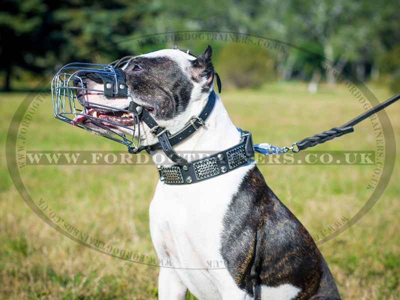 Pitbull Basket Muzzle