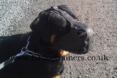 leather dog muzzle k9