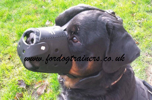 Leather Dog Muzzle for Rottweiler