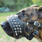 Spiked leather dog muzzle