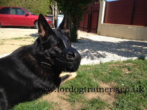 strong dog muzzle for k9 training