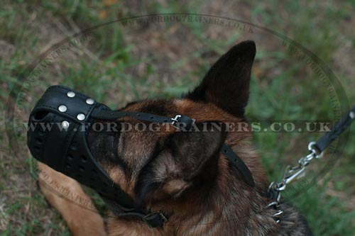 Working Dog Muzzle for GSD