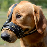 Soft dog muzzle