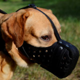 Dog training muzzle