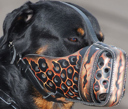 Outstanding Leather Dog Muzzle for Large Breeds