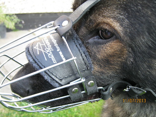 wire dog muzzle for French Bulldog