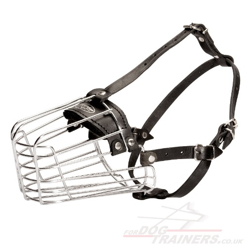 Wire dog muzzle for long nosed dog uk