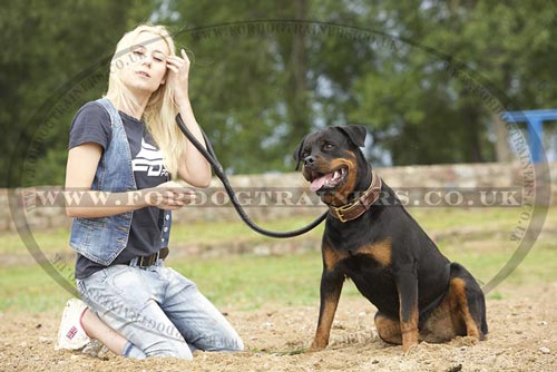 Round Leather Dog Lead