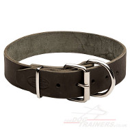 Wide Leather Dog Collars