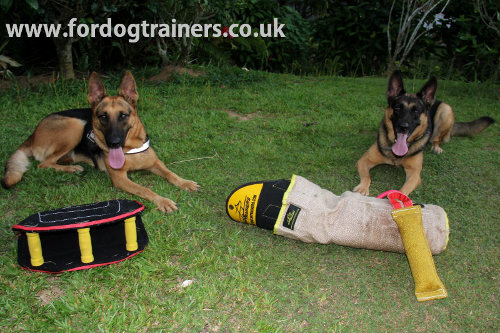 Schutzhund Training Tools for German Shepherds