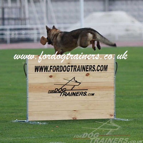 Dog Training Jumping for Schutzhund Dogs