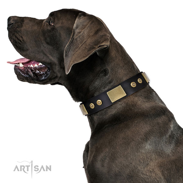 Buy Strong Leather Dog Collar for Great Dane