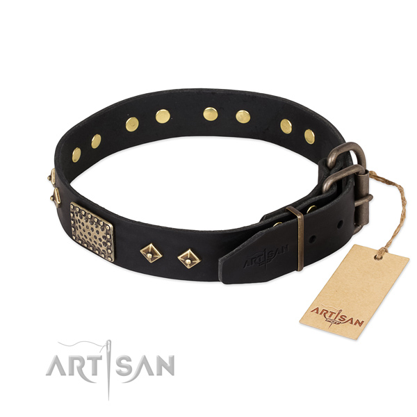 Buy Handsome Dog Collar for a Big Dog