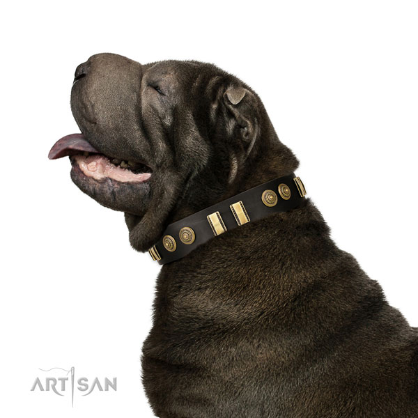 Studded Dog Collar for Shar Pei