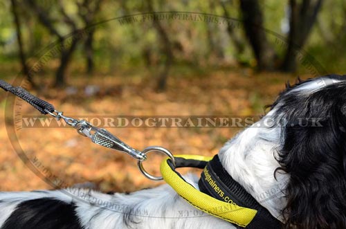 Spaniel Training Collar for Dogs