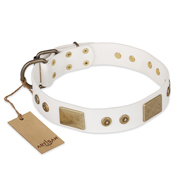 Designer Dog Collar "Unforgettable Impression" by FDT Artisan Designer Dog Collar "Unforgettable Impression" by FDT Artisan