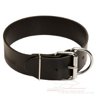 Wide Leather Dog Collars