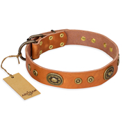 Fabulous Dog Collar of Tan Leather "Dandy Pet" FDT Artisan Fabulous Dog Collar of Tan Leather "Dandy Pet" FDT Artisan