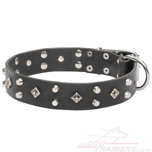 Handmade Dog Collar with Buckle