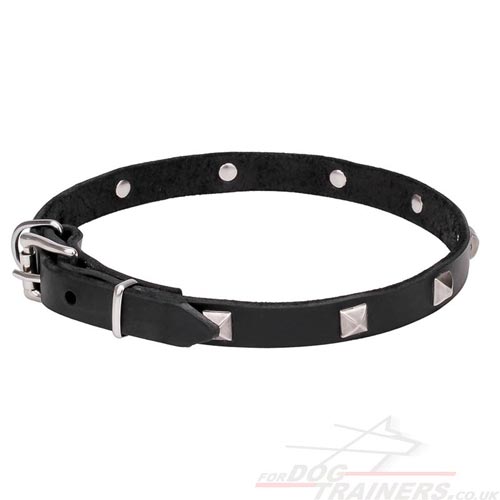 Fashion Dog Collar for Dogs Walking