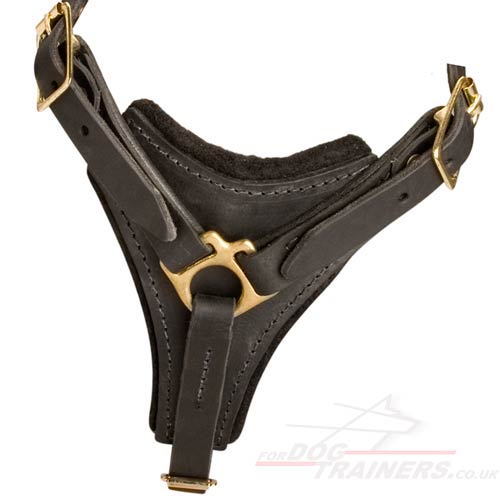 buy leather dog tracking harness for Caucasian Shepherd