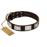 Studded Dark Brown Leather Dog Collar with Plates FDT Artisan