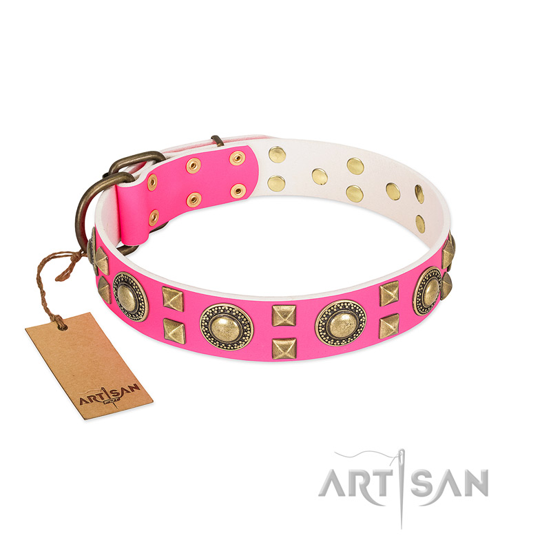 jeweled leather dog collars