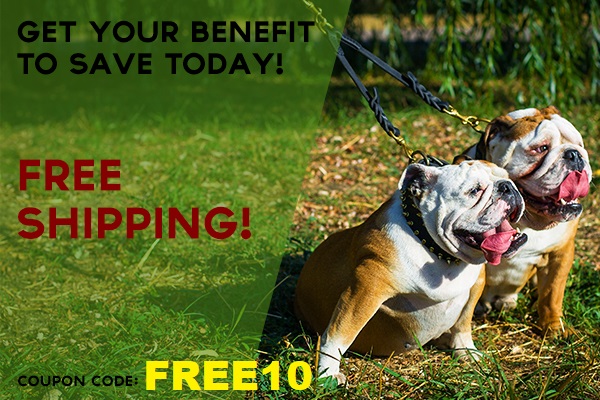 15% OFF
