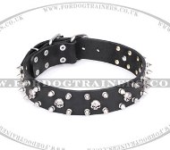 Marvellous Pirate Themed Dog Collar with Spikes by FDT Artisan