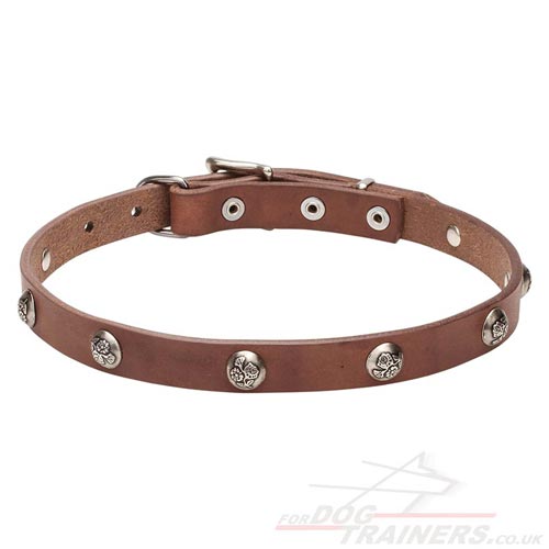 Leather Collars for Dogs UK