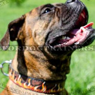 Bright Flame Handpainted Dog Collar for Boxer Dog Training