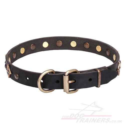 leather dog collar