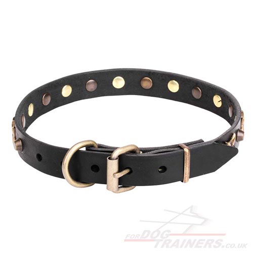 buy 1 inch
dog collar