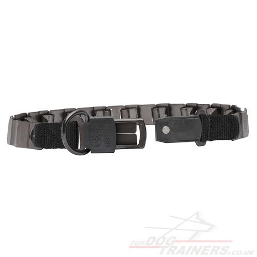 metal dog collar uk