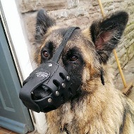 German Shepherd Dog Muzzle for Long Nosed Dog UK Best Shape