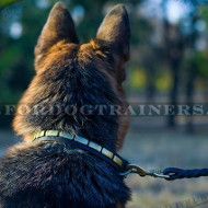 New Handmade Dog Collar for German Shepherd