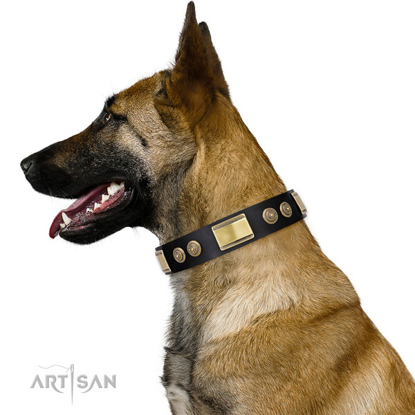 Buy Designer Dog Collar for Belgian Shepherd Malinois