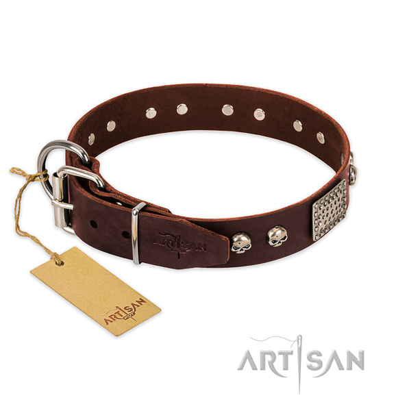 Dashing Dog Collars for Big Dogs