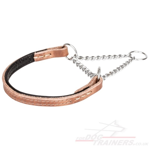 Martingale Collar for Dog Training